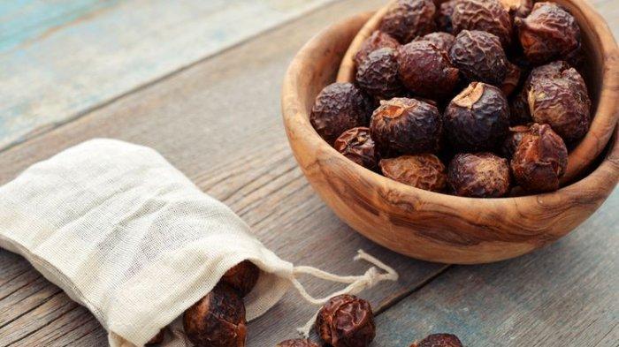 Manfaat Lerak untuk Mencuci Batik, Bikin Motifnya Awet Meski Bertahun-tahun